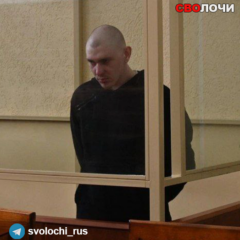 Руслана Шингирея