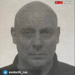 Александр Степанов